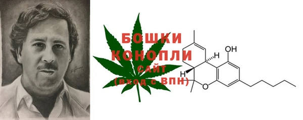 COCAINE Богданович